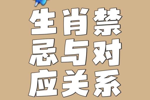 属虎和属鼠的八字合吗