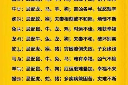 属鼠的女人和什么属相最配对 属鼠的女人和什么属相最配婚姻