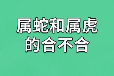 属蛇的男人应该与哪个生肖进行配对