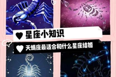 天蝎女与哪个星座配对最合适