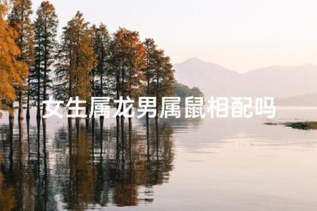 属鼠和属龙配对合适吗-