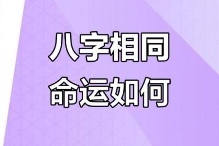 八字相似命运也相同吗
