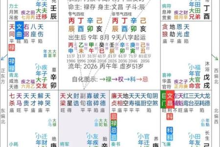紫薇斗数是什么