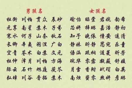 公司起名打分测试100分免费打分 公司起名打分测试100分免费打分是如何进行打分的