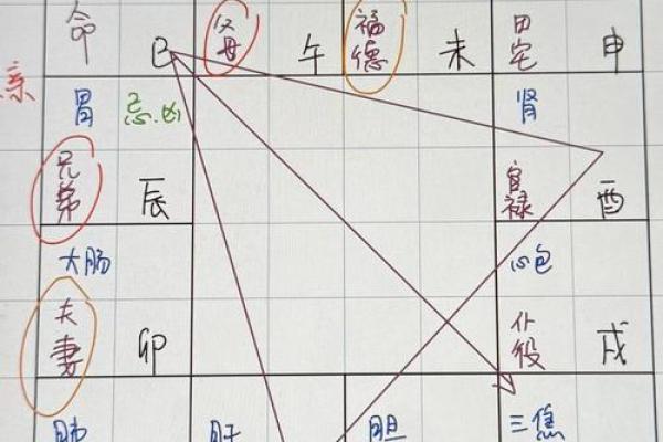 紫微斗数诸星落命宫之:生年博士十二神详解 紫微斗数诸星落命宫之:生年博士十二神详解