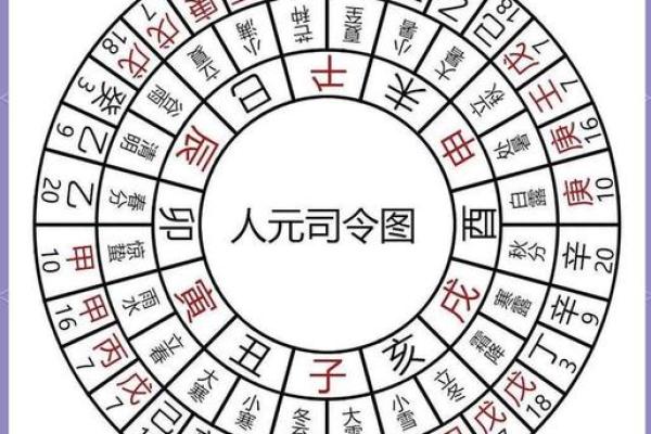 三会的八字
