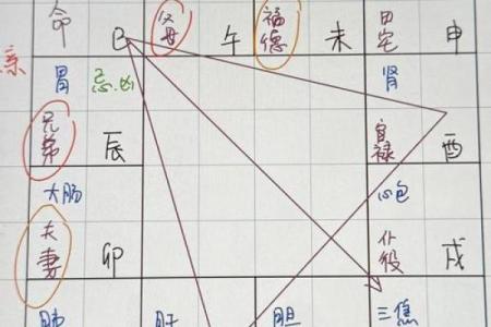 紫微斗数诸星落命宫之：生年博士十二神详解