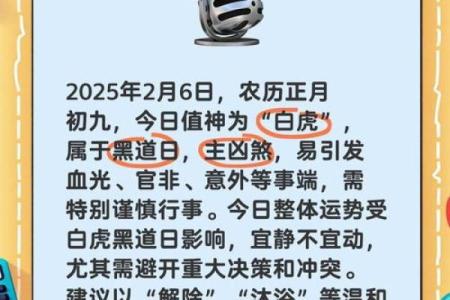 今日黄历详解：宜忌事项与吉时全攻略