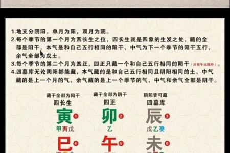 八字藏干财官印俱全
