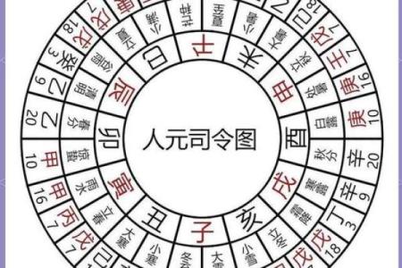 三会的八字