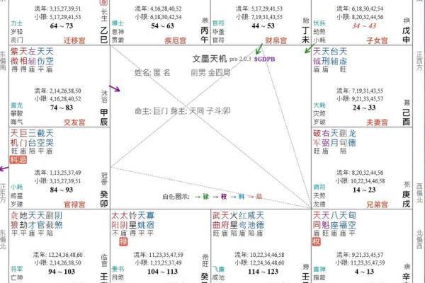 紫薇斗数事业怎么看