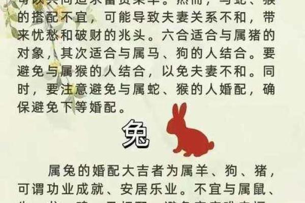 72年属什么生肖配对
