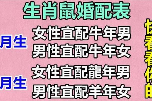 父母与子女属相配对