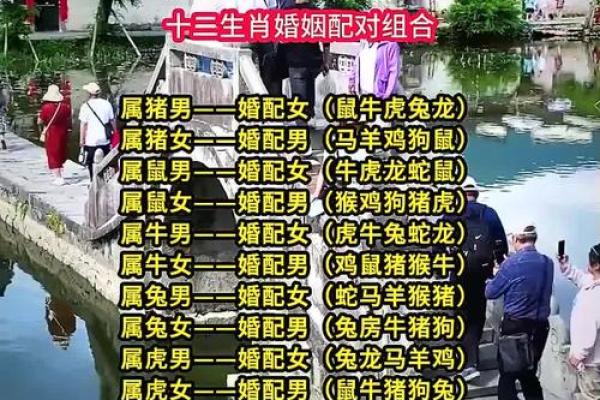 婚姻属相配对
