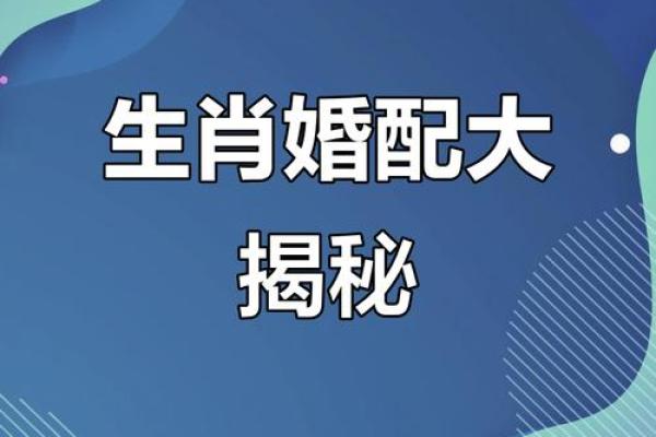 男属鸡的和什么属相最配 男性属鸡的最佳配对是哪个属相