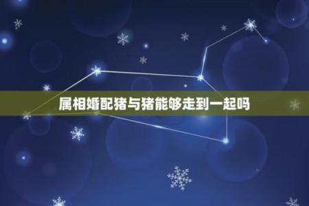 哪个属相夫妻配对好？这5对简直绝配，在一起就不会分开