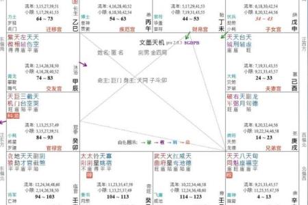 紫薇斗数事业怎么看