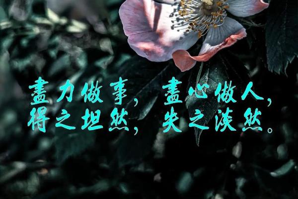 爱得坦然，分得淡然的星座
