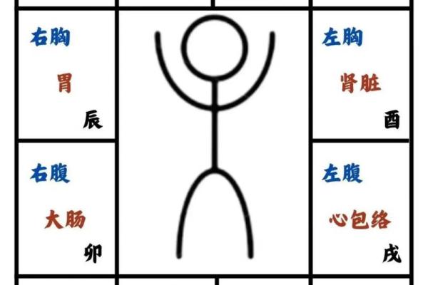 跟着AI学紫薇斗数，十二宫介绍