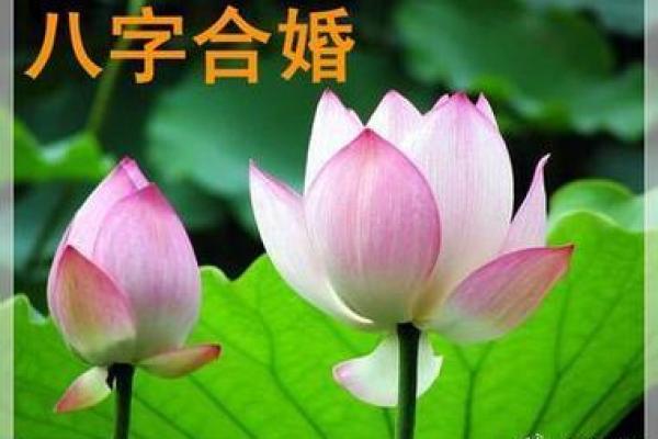 姻缘配对算命 婚后夫妻和睦八字 看你有没有