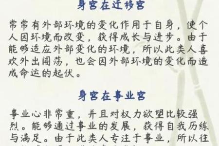 紫薇斗数官府是什么意思