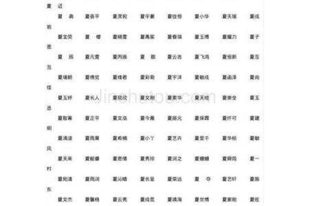 夏姓女孩名字大全-夏姓女孩起名字大全-夏姓名字大全姓名