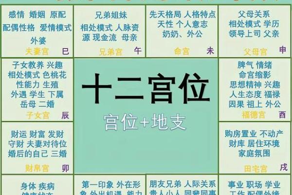 紫薇斗数里青龙是什么意思