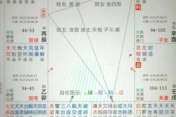 紫薇斗数里青龙是什么意思