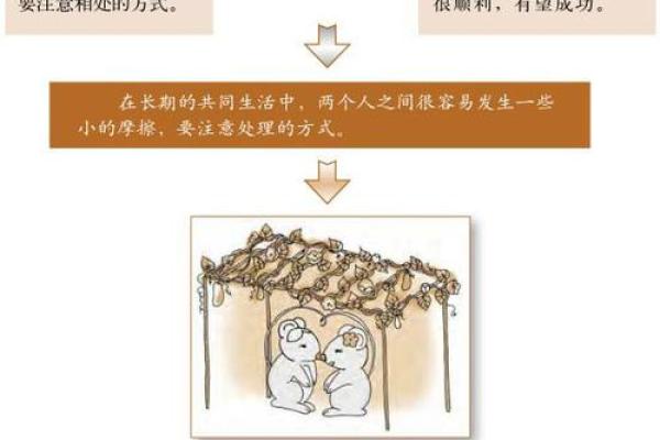 周易64卦算命术大全（上），人人都能学会，最为方便的测算术