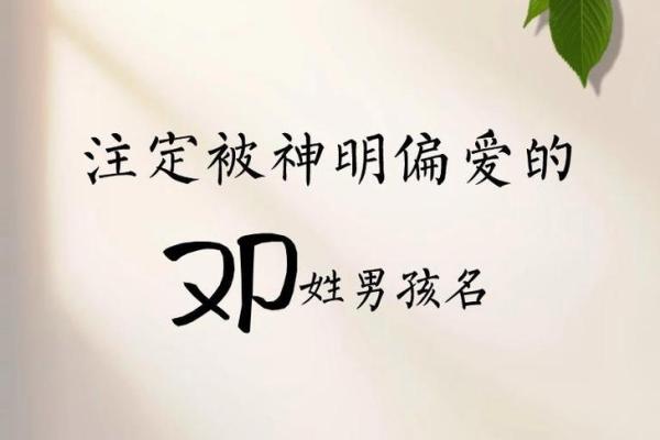 2019年出生的姓邓男孩如何起名，宜用什么字姓名