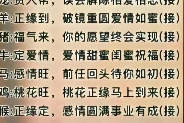 属鸡人属相姻缘配对