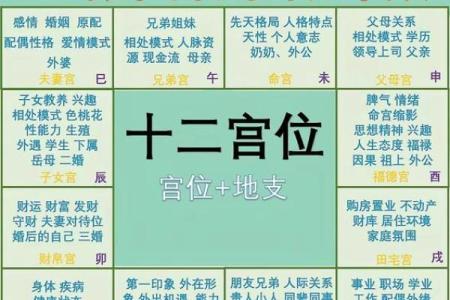 紫薇斗数里青龙是什么意思