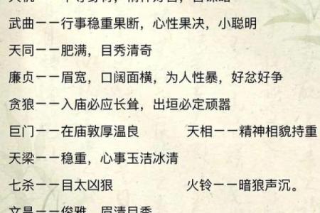 高人汇紫薇斗数