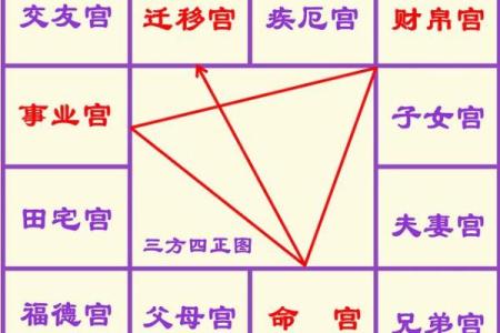 紫薇斗数准