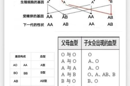 A血型性格