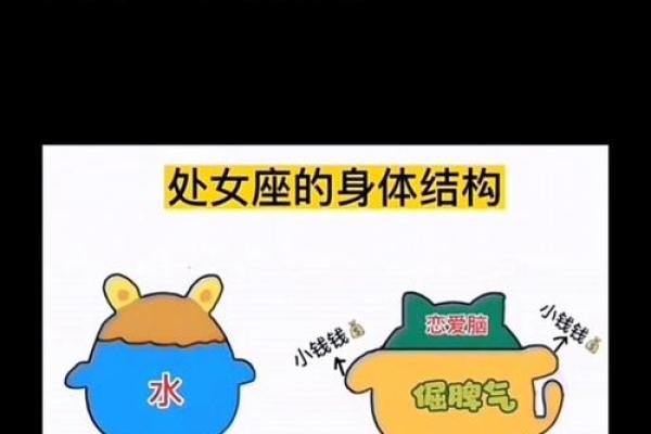 被处女座吃得死死的星座 处女座和谁最配