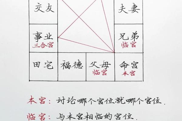 学习紫薇斗数入门推荐