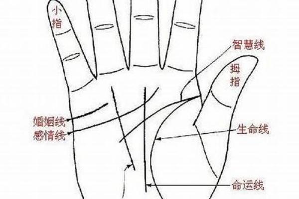 婚姻算命手相