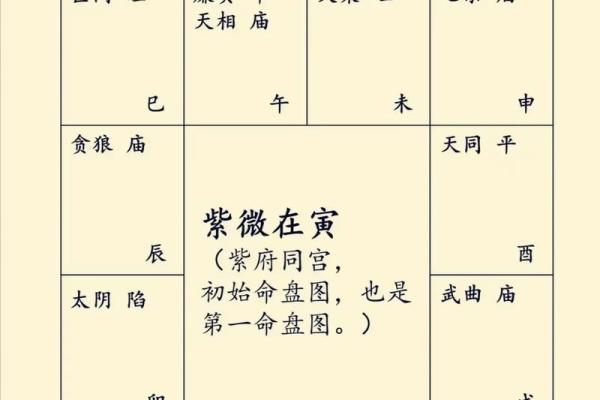 紫薇斗数三大格局