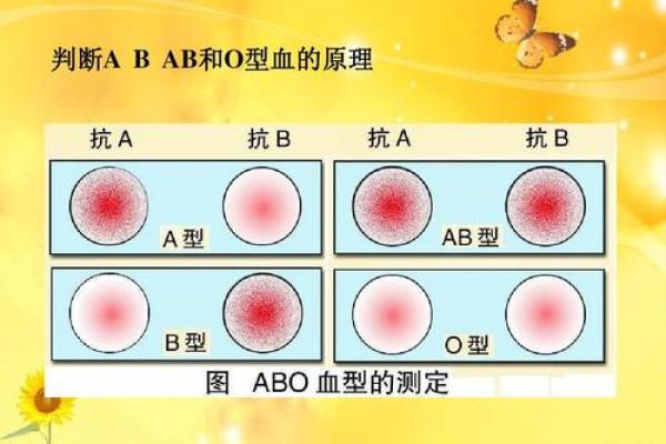 从血型看出你的花钱习惯