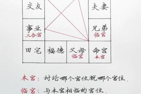 学习紫薇斗数入门推荐