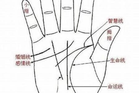 婚姻算命手相