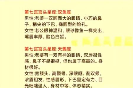 哪几个星座有高鼻梁