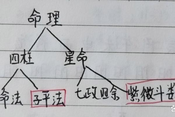 八字与磁场的关系