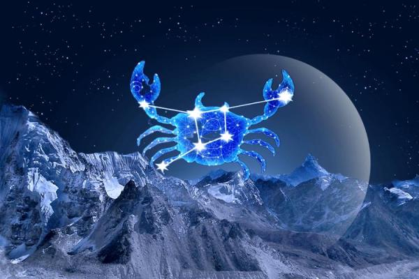 星座女神日运1223｜白羊家庭美满，金牛如鱼得水