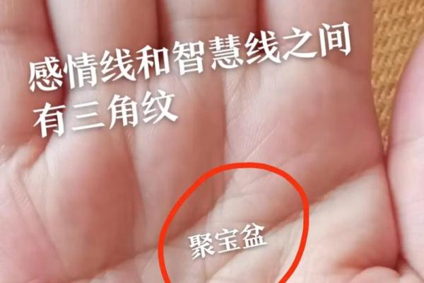 如何看掌纹线算命女性 智慧线长度适中进取心强
