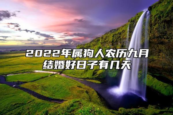 属狗男今年结婚吉日 属狗男今年结婚吉日有哪些？