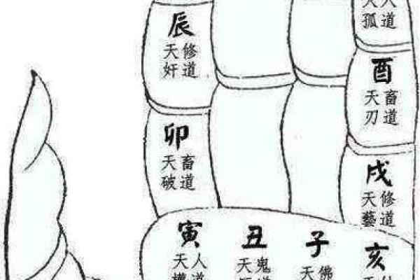 佛经说两种算命