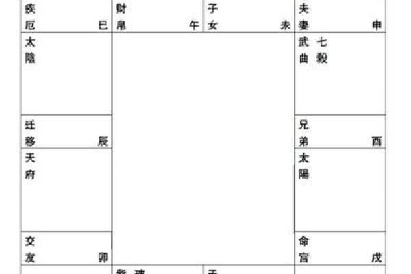 紫薇斗数状元格
