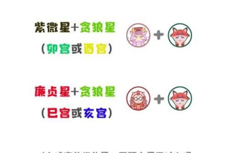 紫薇斗数流曜